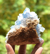 Celestite Cluster